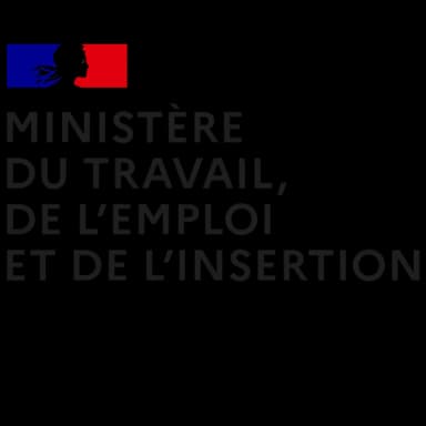Ministère du Travail, de l'Emploi et de l'Insertion — Liberté Égalité Fraternité