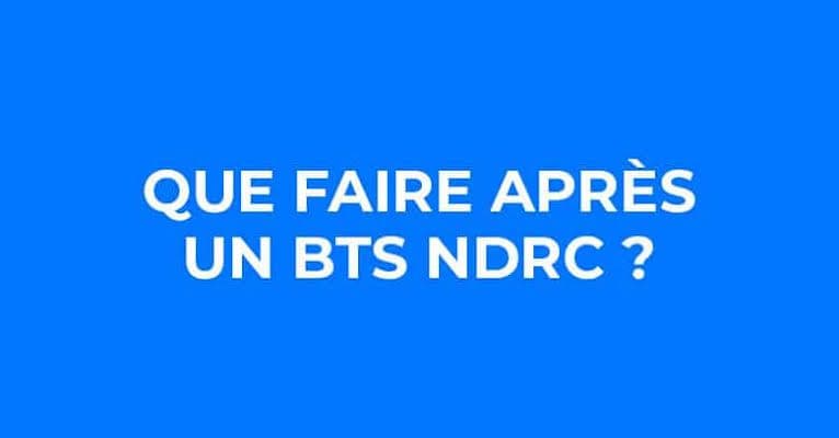 BTS NDRC - poursuites d'études possibles