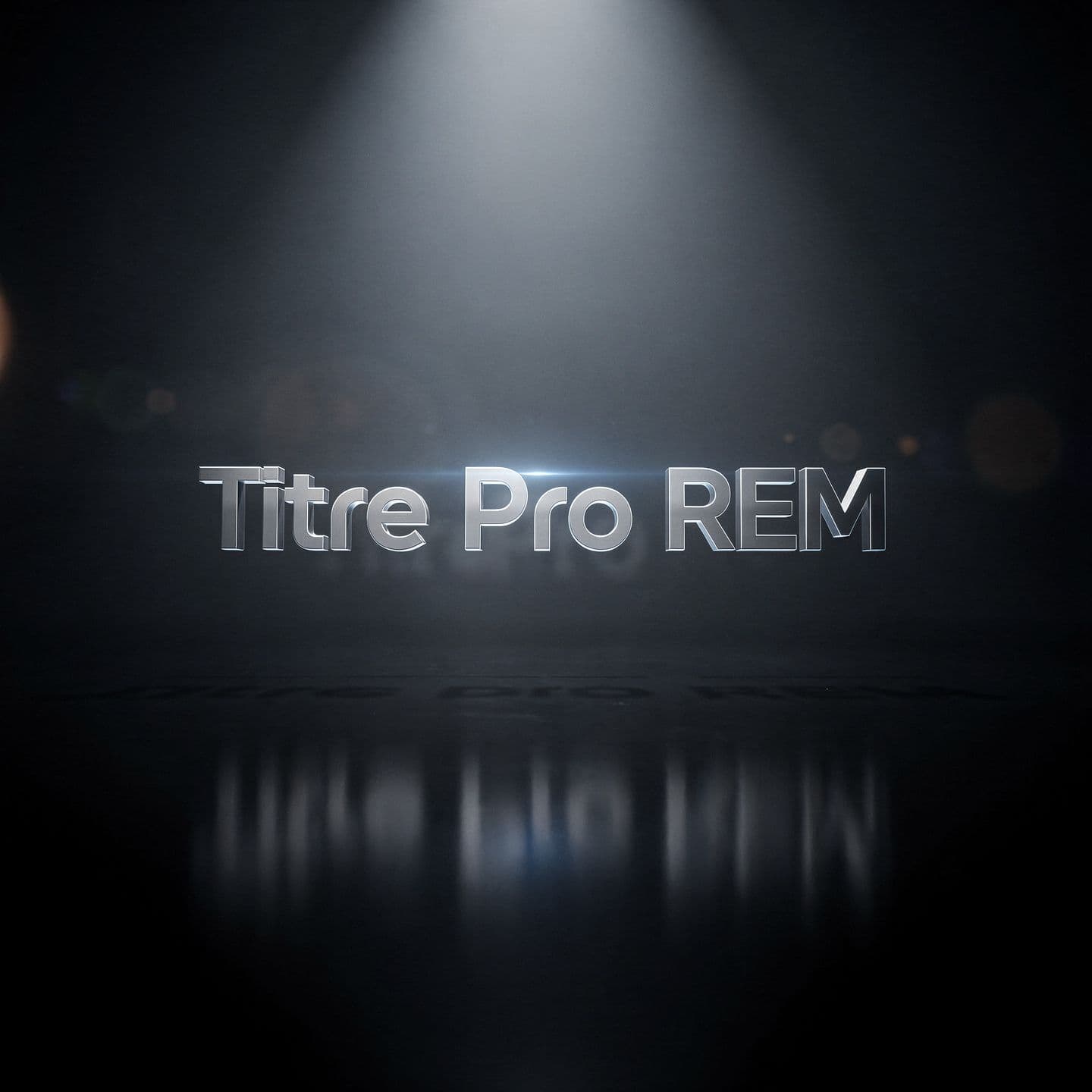 Titre Pro REM à distance
